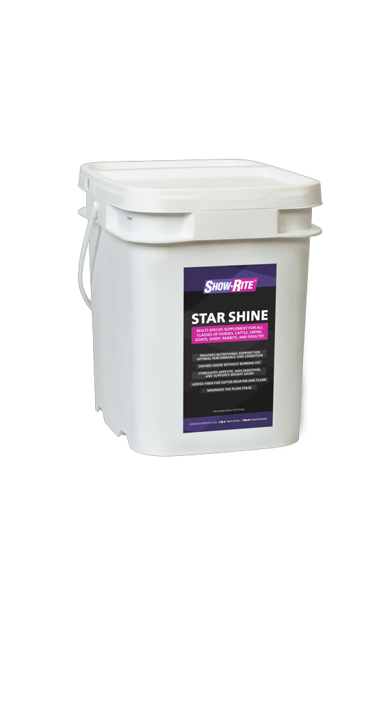 Star Shine