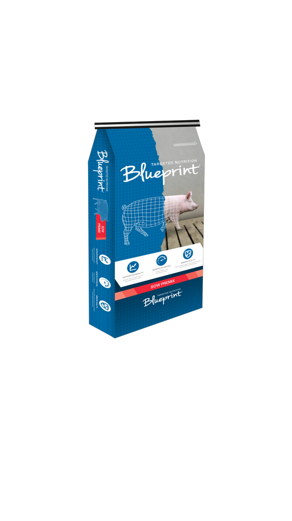 Blueprint Sow Premix NAB NAP